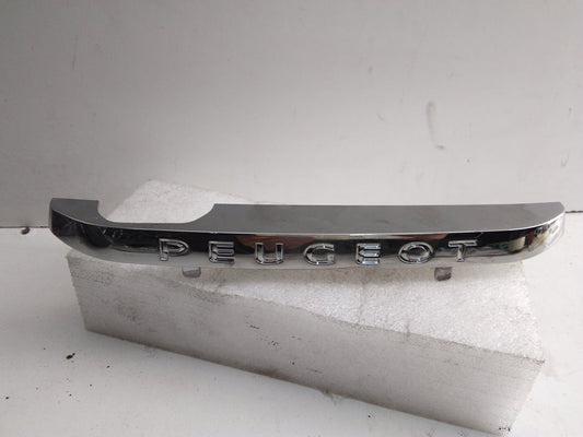 Grille de pare-chocs centrale