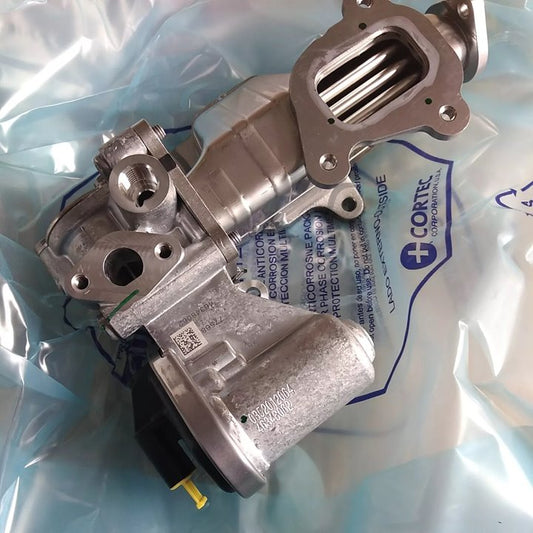 EGR valve